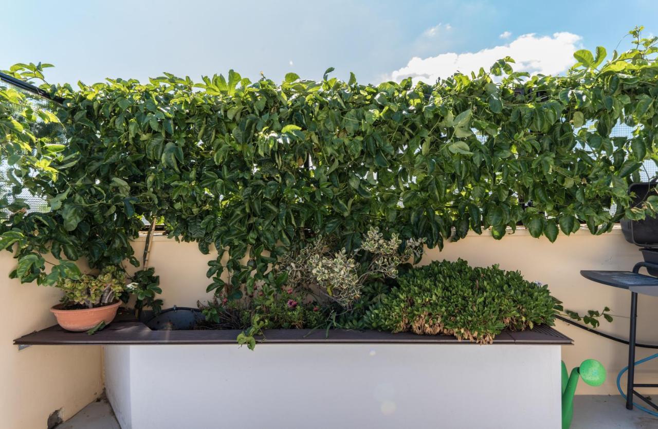 Apartamento Casa Colibrì - Solemar Sicilia Santa Flavia Exterior foto